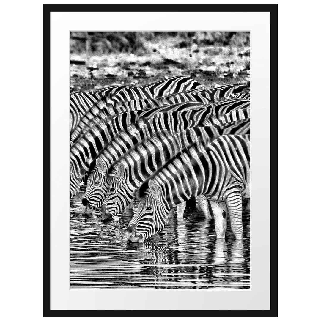 Gerahmtes Poster Safari mit Zebras in Afrika