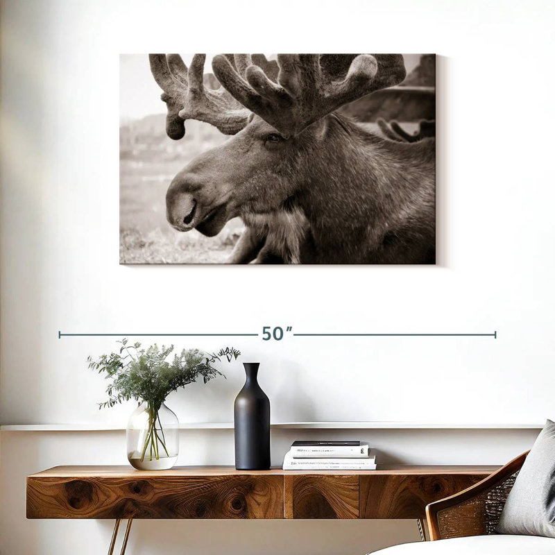 Brampt Moose Head, 24" H x 36" W