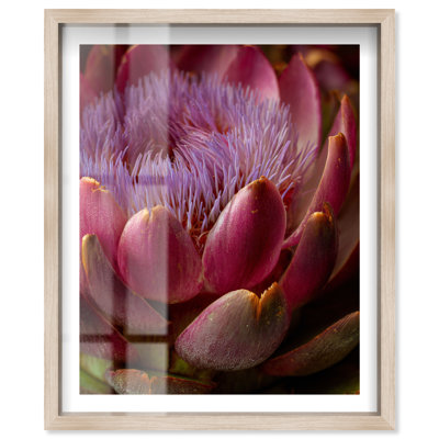 Artichoke Flower Shadowbox Print Floral Wall Decor by Notoriart, Natural Oak Frame, 20 x 24