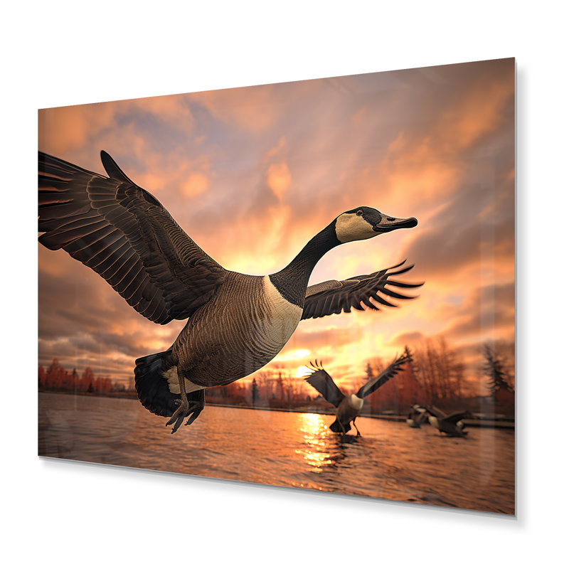 Canada Canada oies canadiennes I - animaux, impressions sur métal, H 16 po x l 32 po x P 1 po