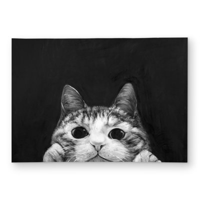 Curious Cat Outdoor Area Rug | Livingroom Pets Home Decor