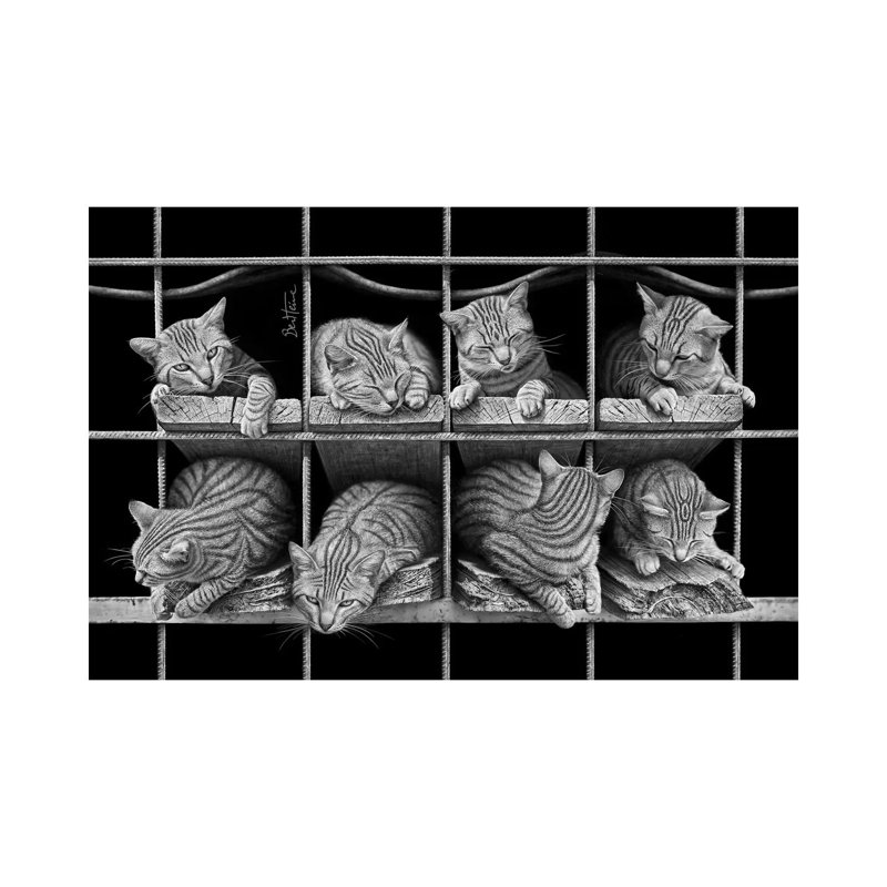 Octet by Ben Heine - Wrapped Canvas Print, 66.04 cm H x 45.72 cm W