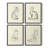 House Cat I Framed Print - Set of 4-374469271-374469258
