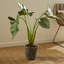 Faux Elephant Ear Plant in Ceramic Pot