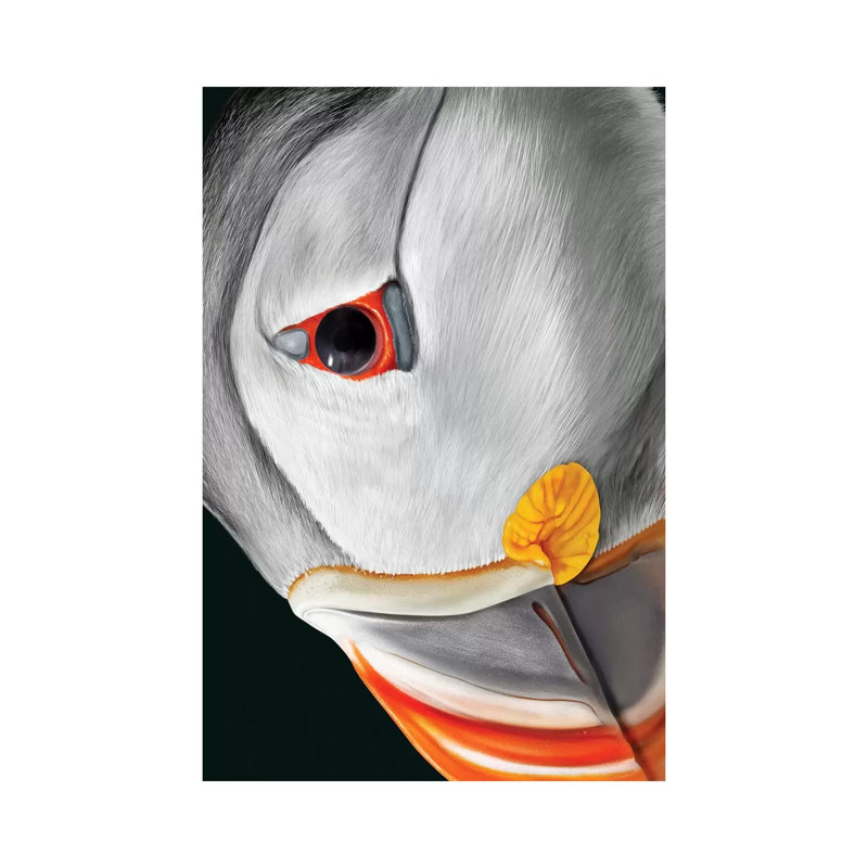 Atlantic Puffin by Giulio Rossi - Wrapped Canvas Painting, 20.32 cm H x 30.48 cm W