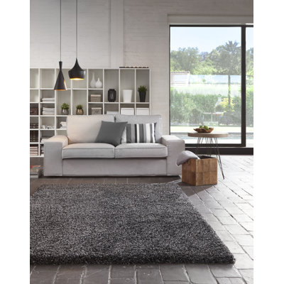 Alyson Plain Shaggy Grey/Black Rug