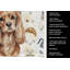 Serviette de cuisine Ruby Cavalier Spaniel-1234934415