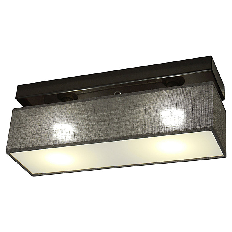 Sevinc Flush Mount, Gunmetal, Graphite clear
