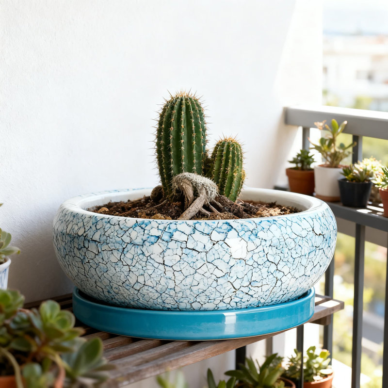 10 Inch Ceramic Bonsai Pot With Drainage Hole And Saucer - Shallow Planter For Indoor Outdoor Plants, Succulents, Herbs, And Garden Decor