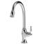 Nadya Single Handle Pull Down Kitchen Faucet-1889260794