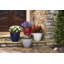 Pot de fleurs d'extérieur Hornsby-1247738643