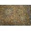 Tapis traditionnel rétro en laine à motif floral 4 x 6