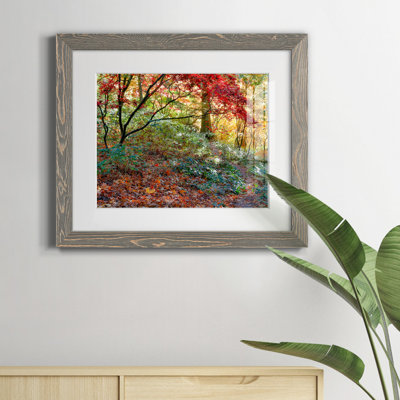 " Secret Garden " by J Paul