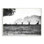 « cerf family photo », impression sur toile