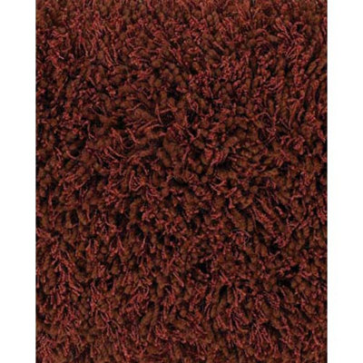 Wool Indoor Rug