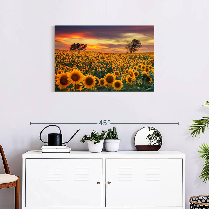 Crépuscule champ de tournesol Alvord, H 20 po x l 30 po