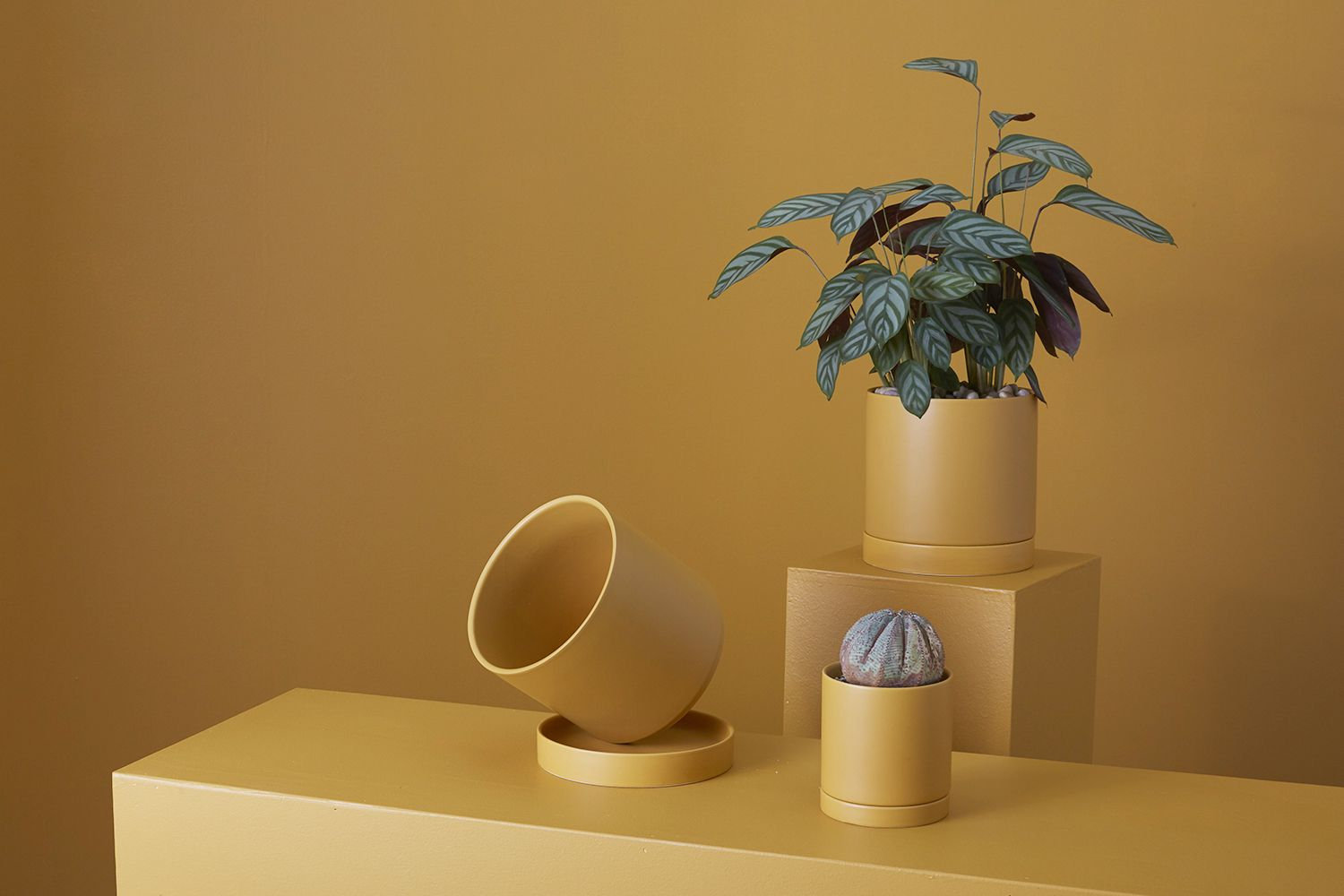 Carlotta 12" Ceramic Pot Planter, Ochre, 4.75" H x 4.25" W x 4.25" D