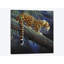 «Jaguar in a Tree», impression sur toile-29479827-73648705-73648710