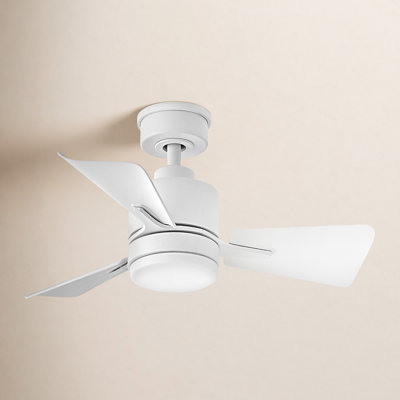 Leventhal 30" Ceiling Fan with Light Kit
