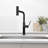 Single Handle Kitchen Faucet with Accessories-93689750