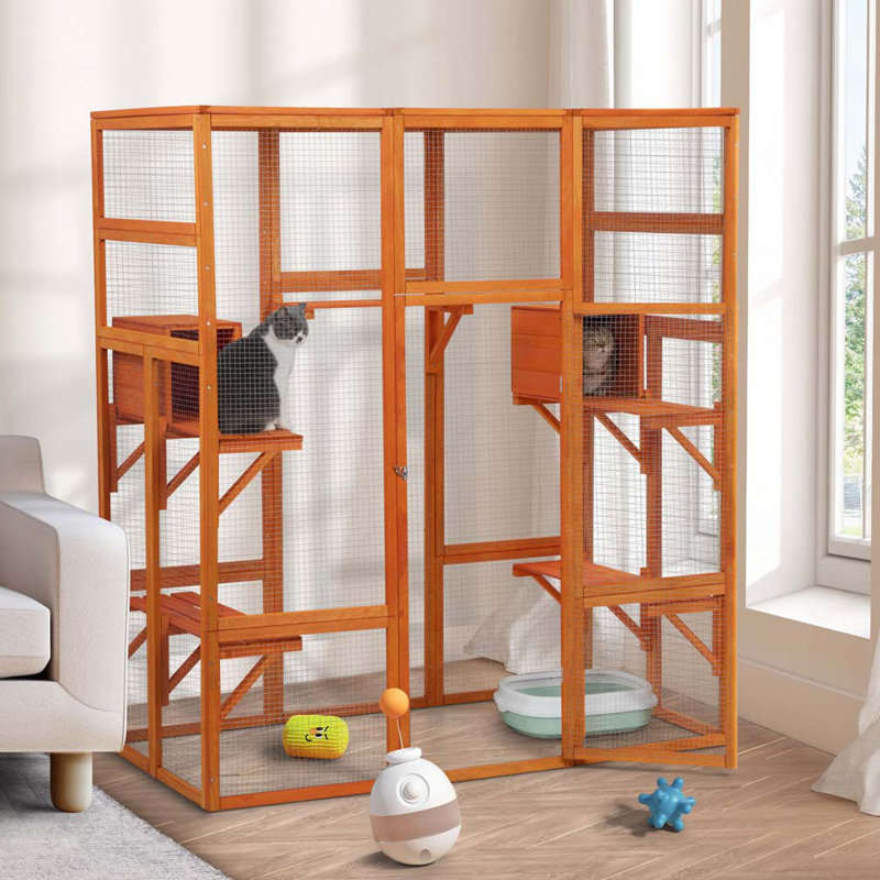 Grande enceinte pour chat avec 5 perchoirs, 2 condos et 1 porte verrouillable, orange