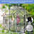 6X6FT-BLACK Polycarbonate Greenhouse Raised Base And Anchor Aluminum Heavy Duty Walk-In Greenhouses For Outdoor Backyard In All Season (W540S00002)