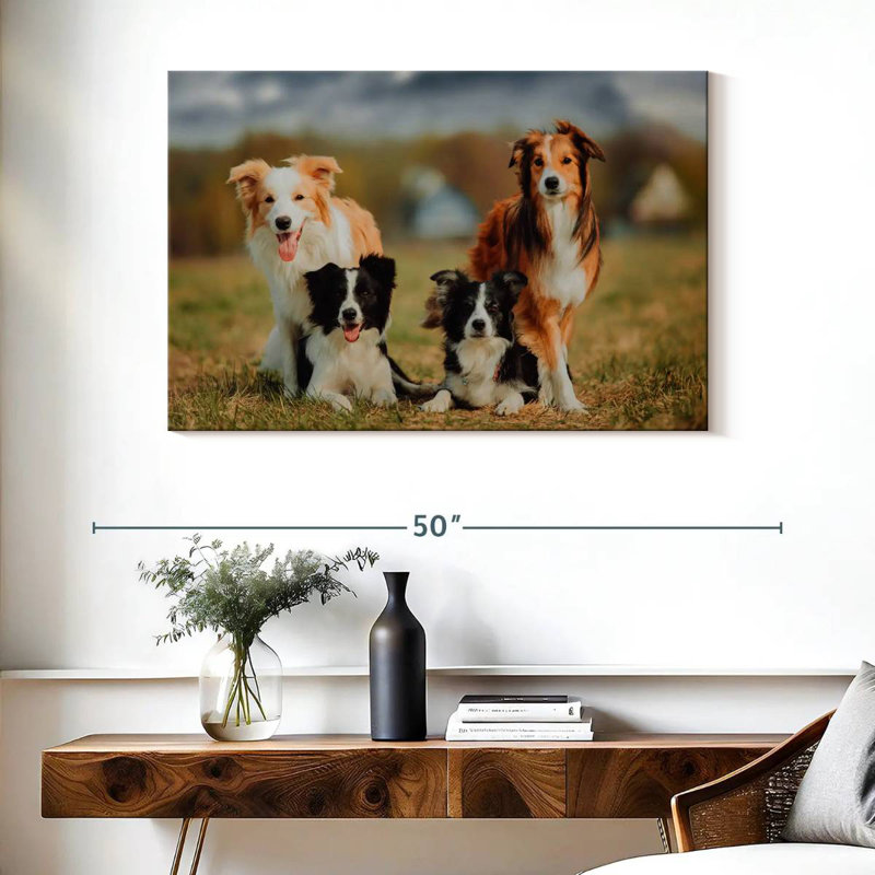 Crowle Border Collie Dogs
