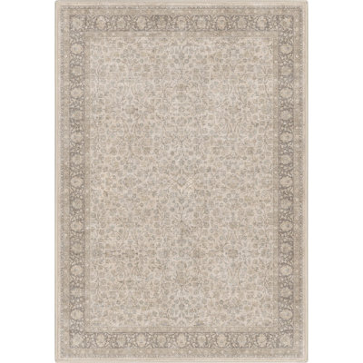 Espy Madrid Vintage Oriental Area Rug