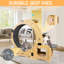 Indoor Cat Activity - Encourages Physical Movement Wheel For Playtime Withstands Daily Use