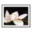 Dancer Print by JR Rapier-755736920-755736924