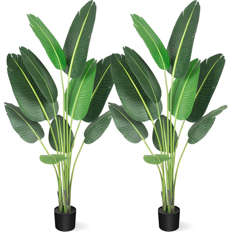 Plant, Green, 59.06cm H x 6.3cm W x 6.3cm D