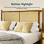 Oliver Solid Wood Platform Bed with Rattan Headboard-88506369-89201919