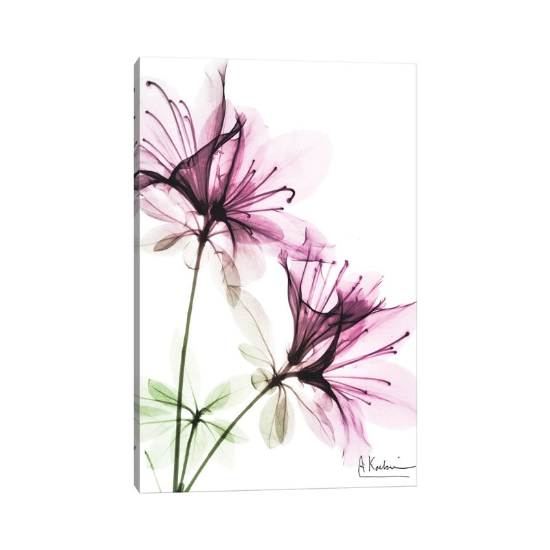 Splendid Beauty I par Albert Koetsier, impression sur toile tendue, H 40 po x l 26 po x P 1,5 po