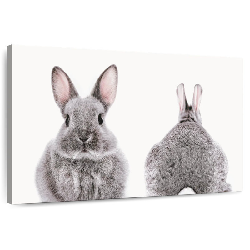 Brampt Rabbit Front And Back Portrait, 32" H x 48" W