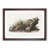 Walnut Framed selected