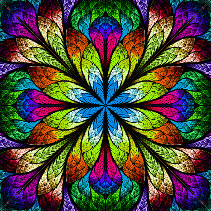 Fleur fractale multicolore Costelli par Velirina, H 12 po x l 12 po