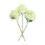 Faux Hydrangea Stems-439757789