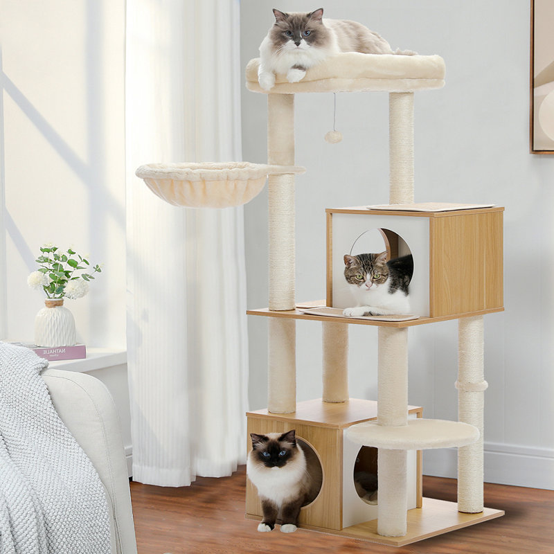 Arbre à chat de 51 po Adai pour grands chats, tour d'arbre à chat en bois pour chats d'intérieur avec maisonnette confortable pour chat, poteau à griffes recouvert de sisal et boules suspendues remplaçables