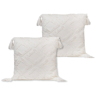 Coussin décoratif 