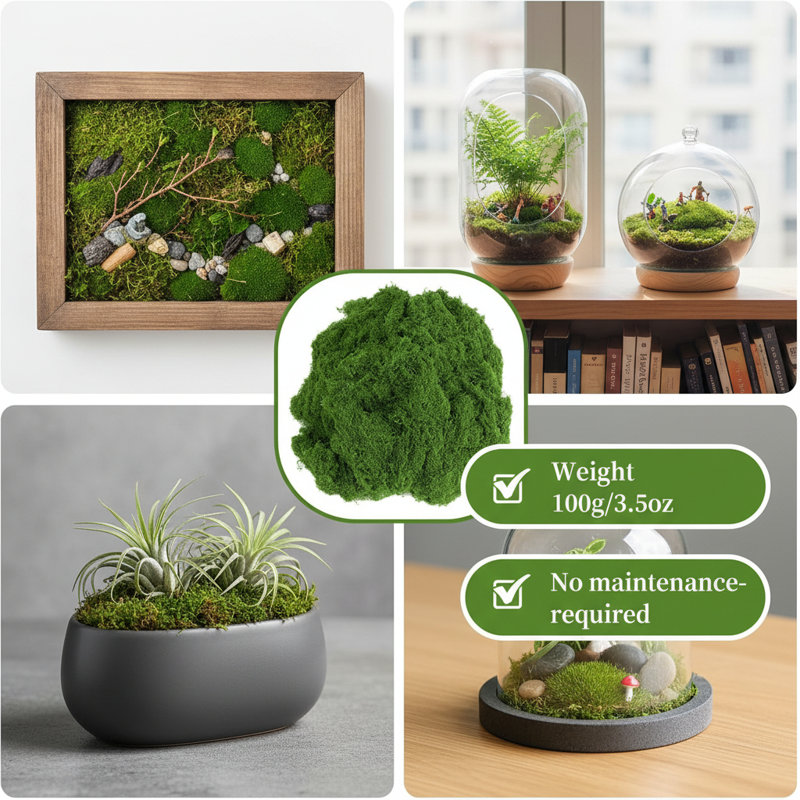 pour plantes d'intérieur, mousse artificielle pour les arts et l'artisanat