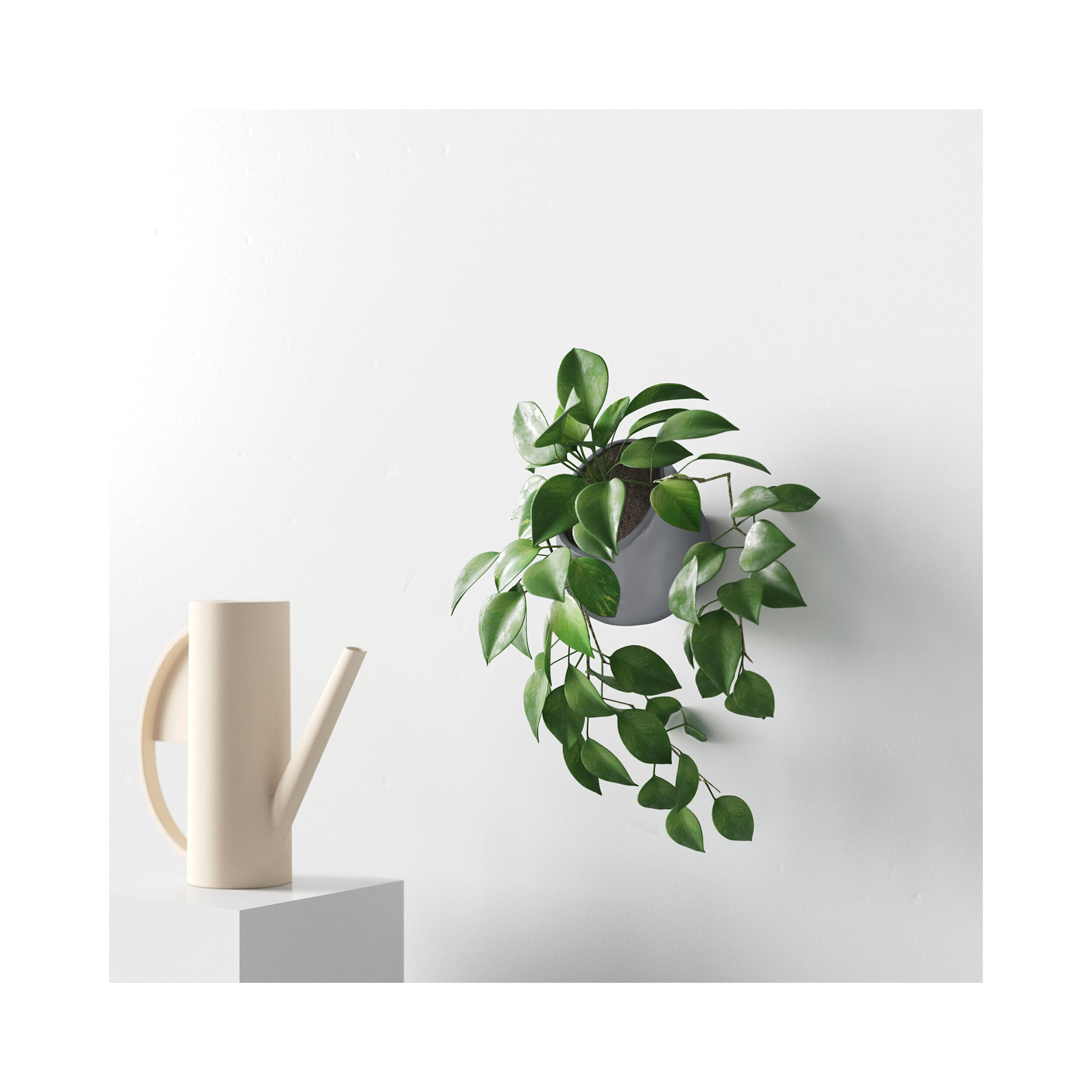 Hilaria Ceramic Wall Planter, 3.5'' H x 4'' W x 5" D, Glossy Black
