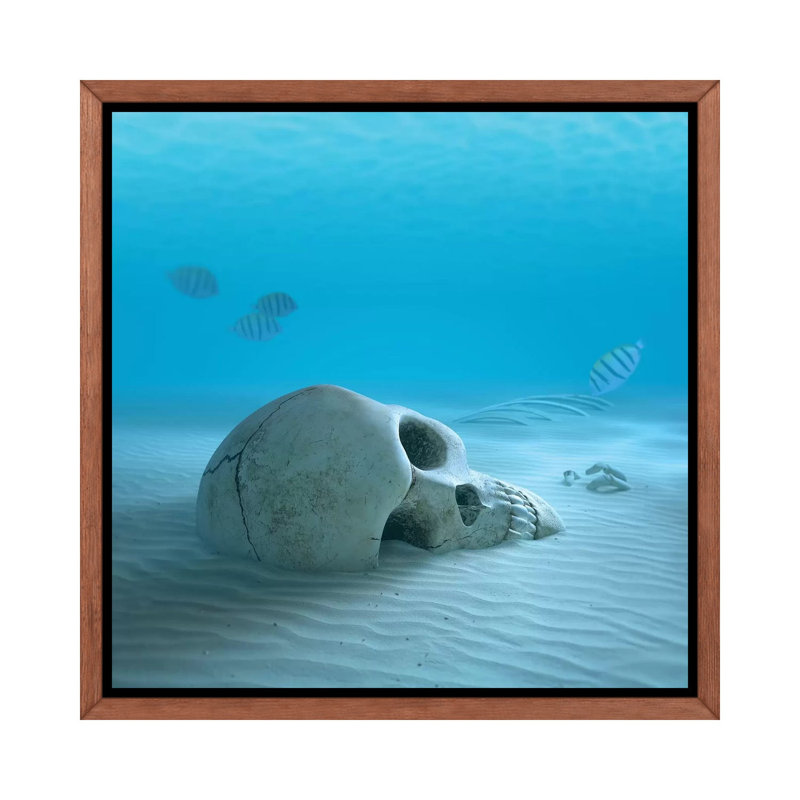 «Skull on Sandy Ocean Bottom with Small Fish Nettoyage de certains os» par Johan Swanepoel - impression sur toile tendue