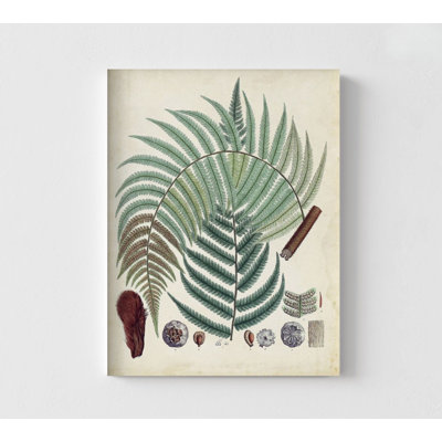 Décoration de jardin, art botanique unique, affiche de feuilles de fougère, affiche de plante rétro, décor de patio extérieur, affiche d'idées de jardin