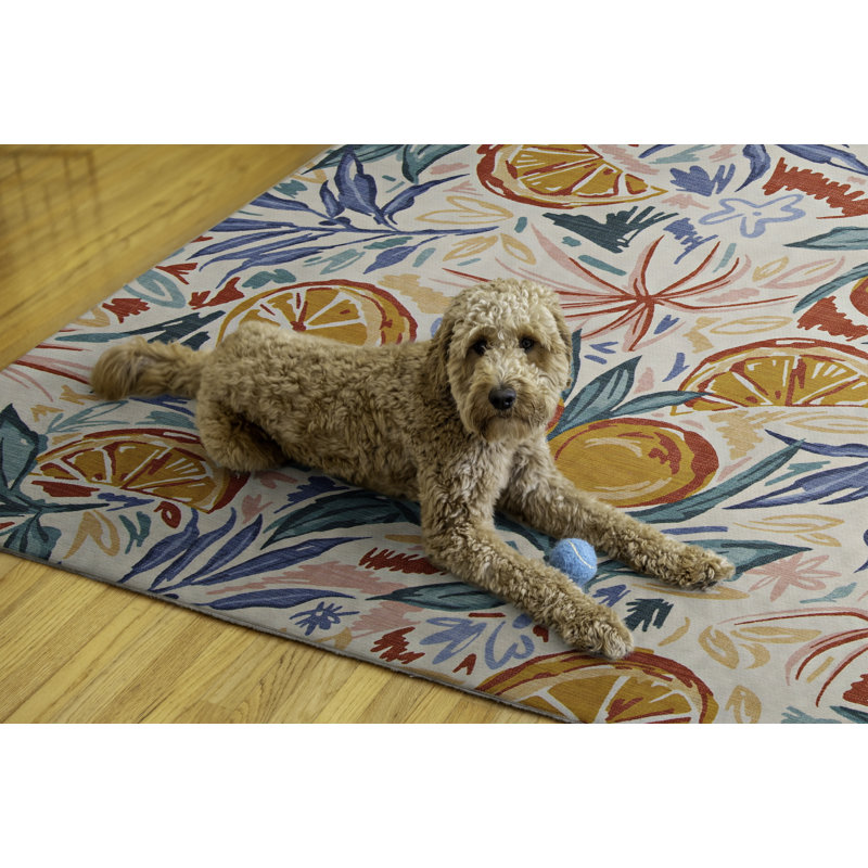 Tapis ivoire orange Ernetta Penssacola, Rectangle 5 pi x 7 pi