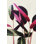Seda Ficus Bourgogne I par - impression sur toile tendue