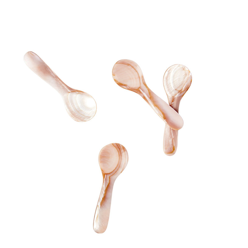 Petites cuillères roses et brunes en coquillage, ensemble de 4