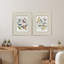 Bird Variety Framed Art
