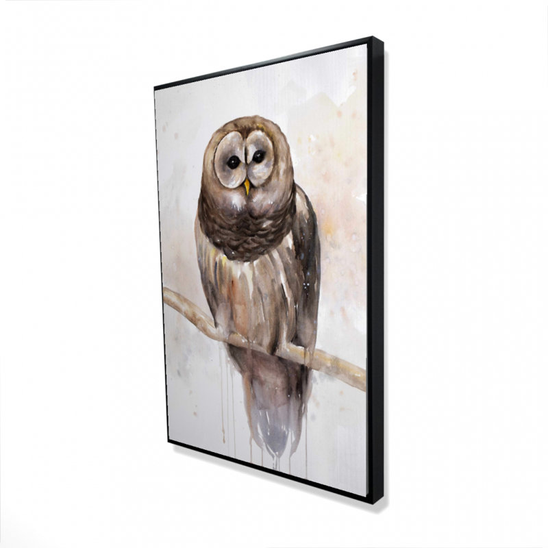 Barred Owl Print On Canvas