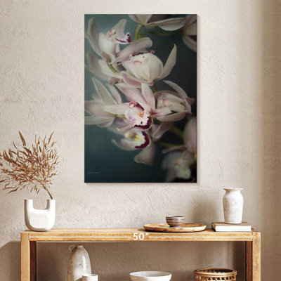 Orchidée noire Harnek