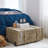 Texture Brand Trunk - Mosaic Baroque